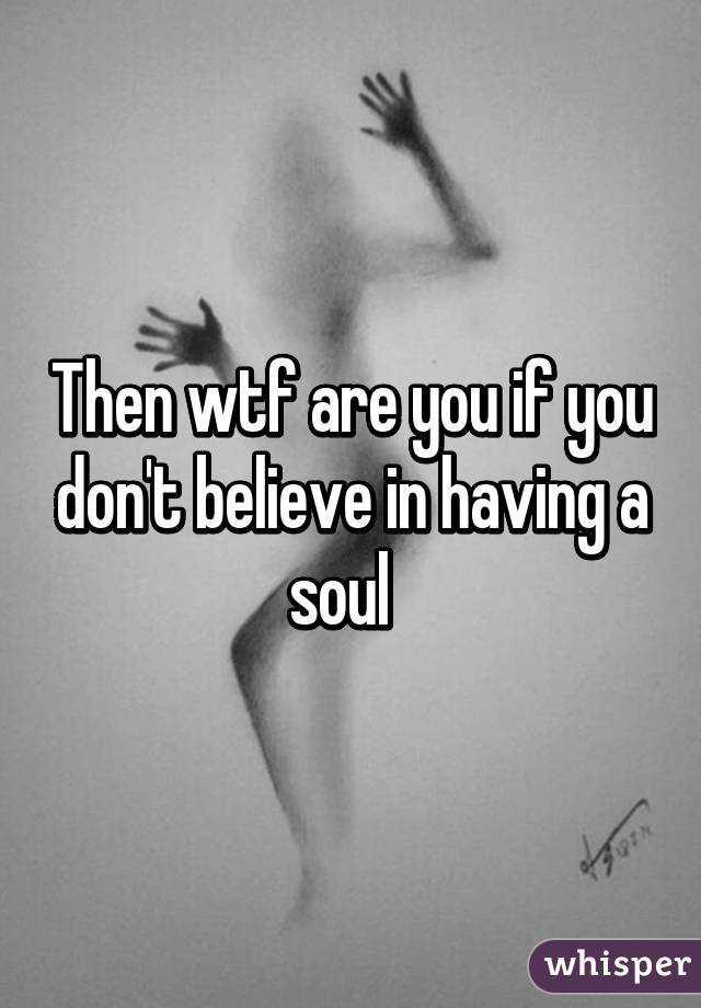 Then wtf are you if you don't believe in having a soul  