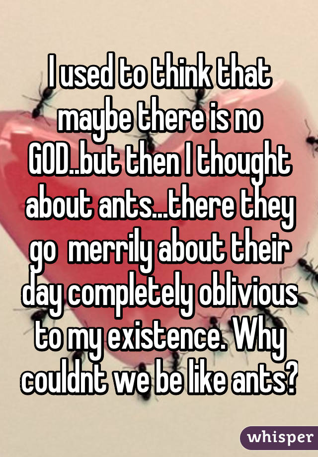 I used to think that maybe there is no GOD..but then I thought about ants...there they go  merrily about their day completely oblivious to my existence. Why couldnt we be like ants?