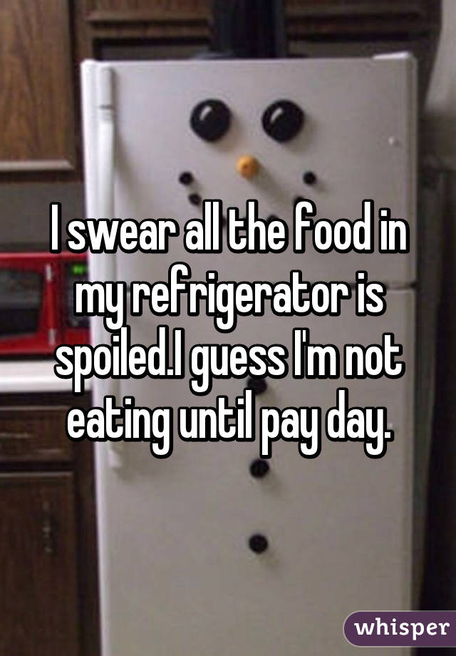 I swear all the food in my refrigerator is spoiled.I guess I'm not eating until pay day.