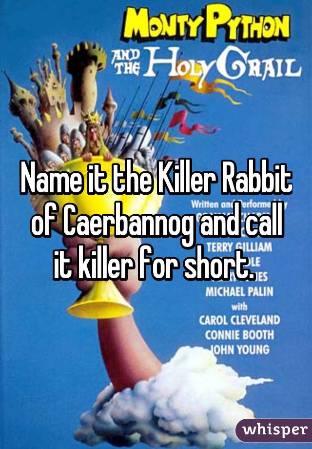 Name it the Killer Rabbit of Caerbannog and call it killer for short. 