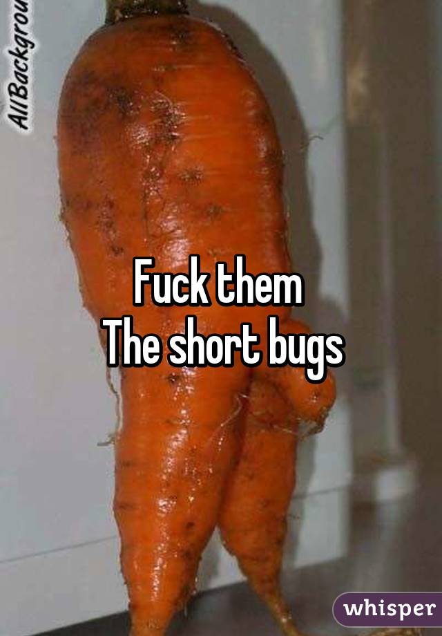 Fuck them 
The short bugs