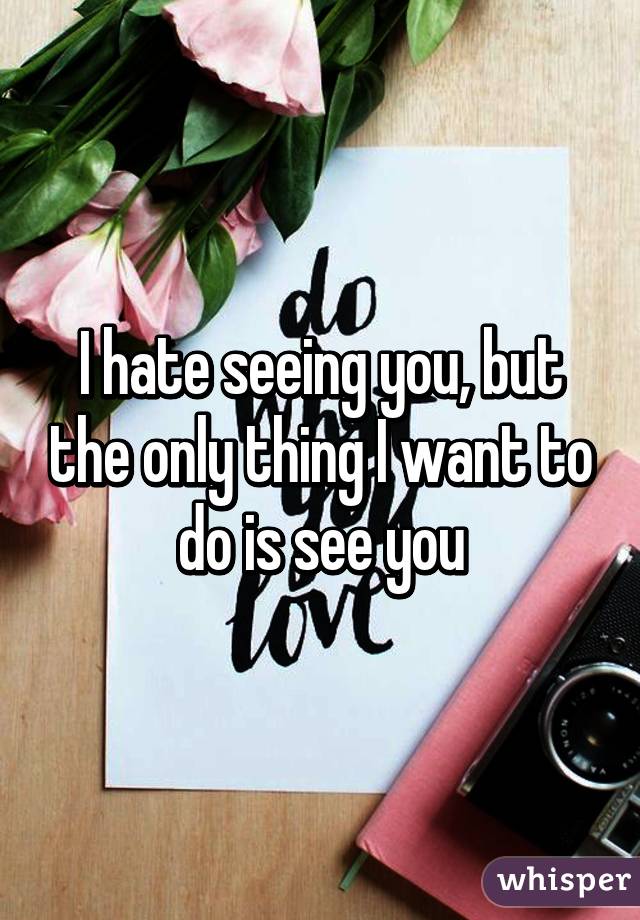 I hate seeing you, but the only thing I want to do is see you