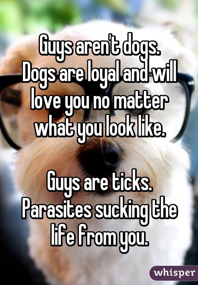 Guys aren't dogs.
Dogs are loyal and will love you no matter what you look like.

Guys are ticks.
Parasites sucking the life from you.