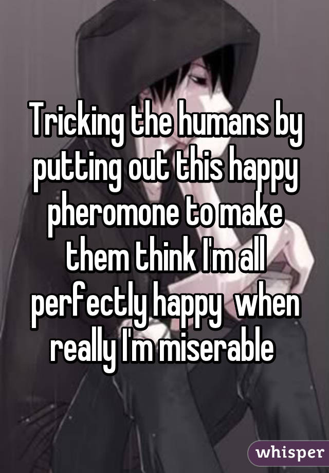 Tricking the humans by putting out this happy pheromone to make them think I'm all perfectly happy  when really I'm miserable 