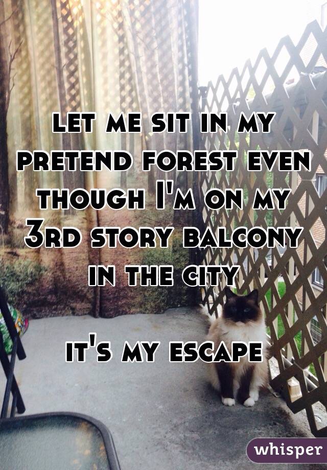 let me sit in my pretend forest even though I'm on my 3rd story balcony in the city

it's my escape