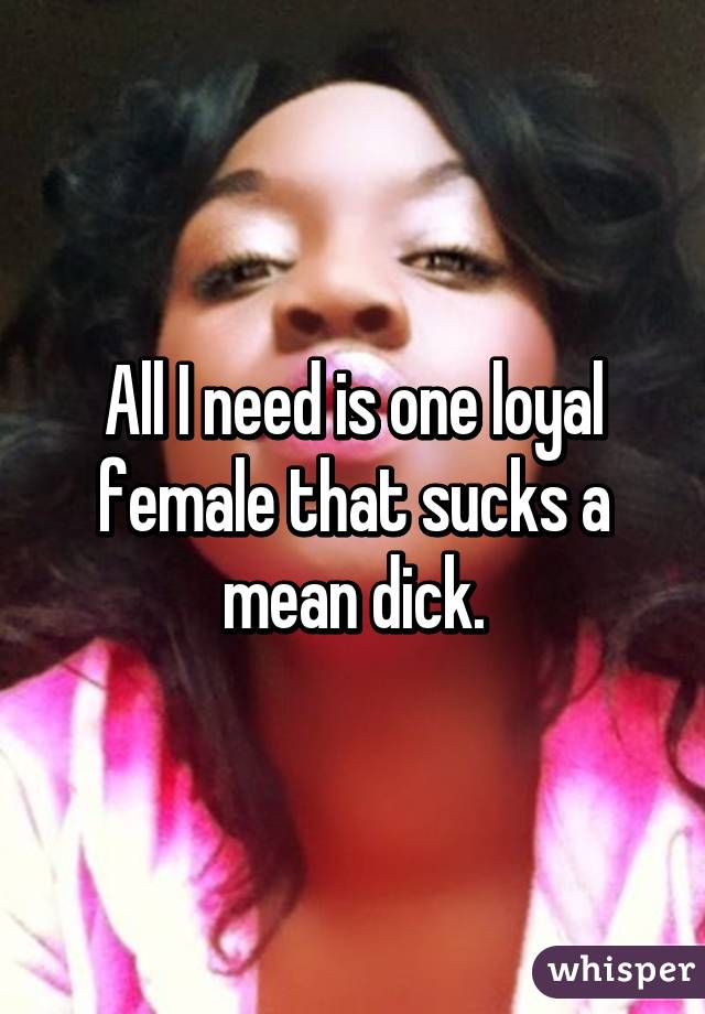 All I need is one loyal female that sucks a mean dick.