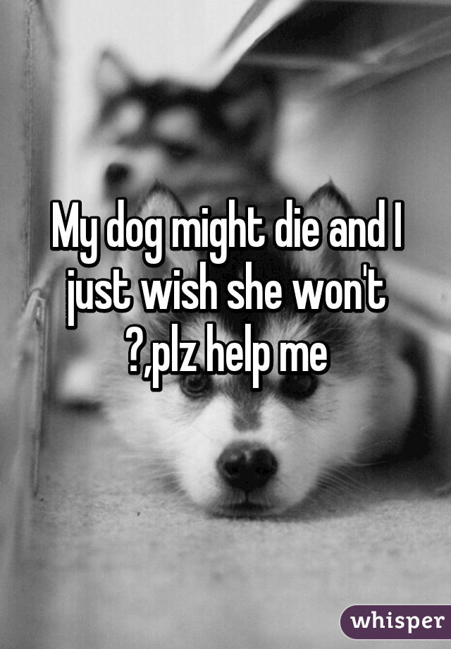 My dog might die and I just wish she won't 😥,plz help me
