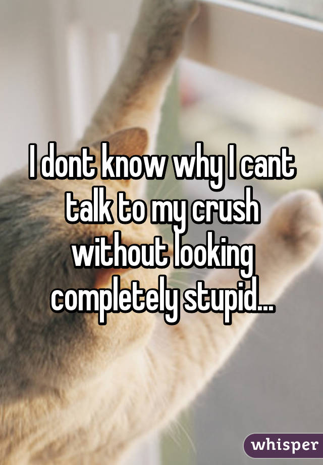 I dont know why I cant talk to my crush without looking completely stupid...