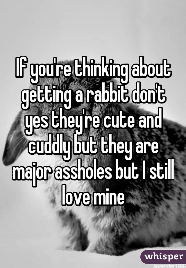 If you're thinking about getting a rabbit don't yes they're cute and cuddly but they are major assholes but I still love mine