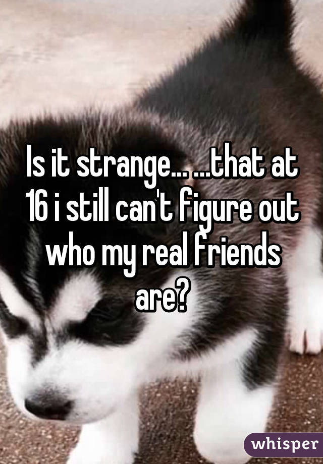 Is it strange... …that at 16 i still can't figure out who my real friends are😶