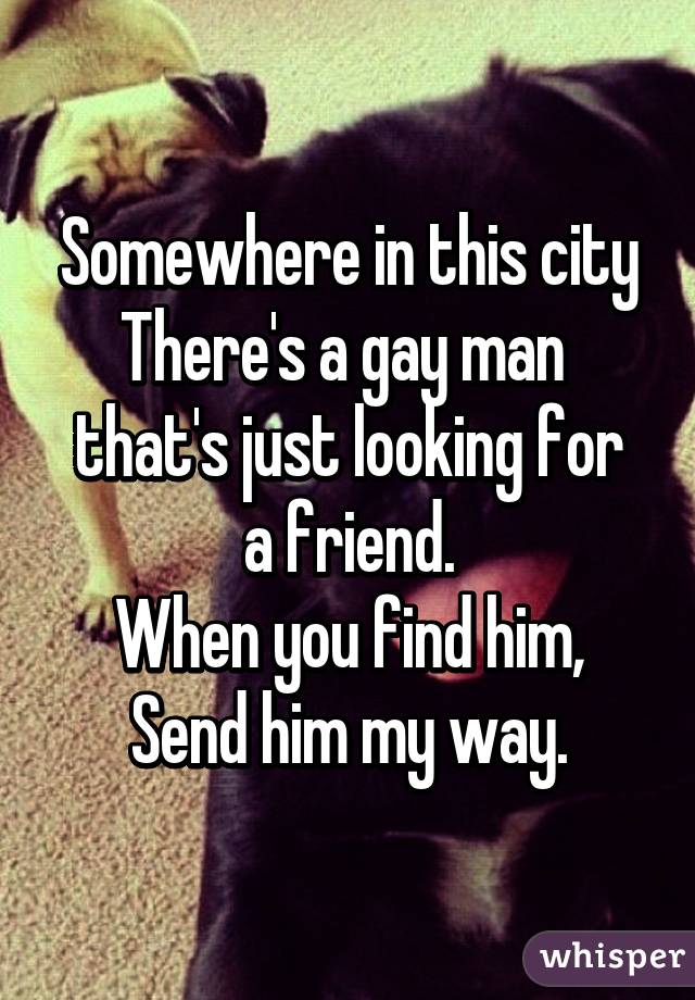 Somewhere in this city
There's a gay man 
that's just looking for a friend.
When you find him,
Send him my way.