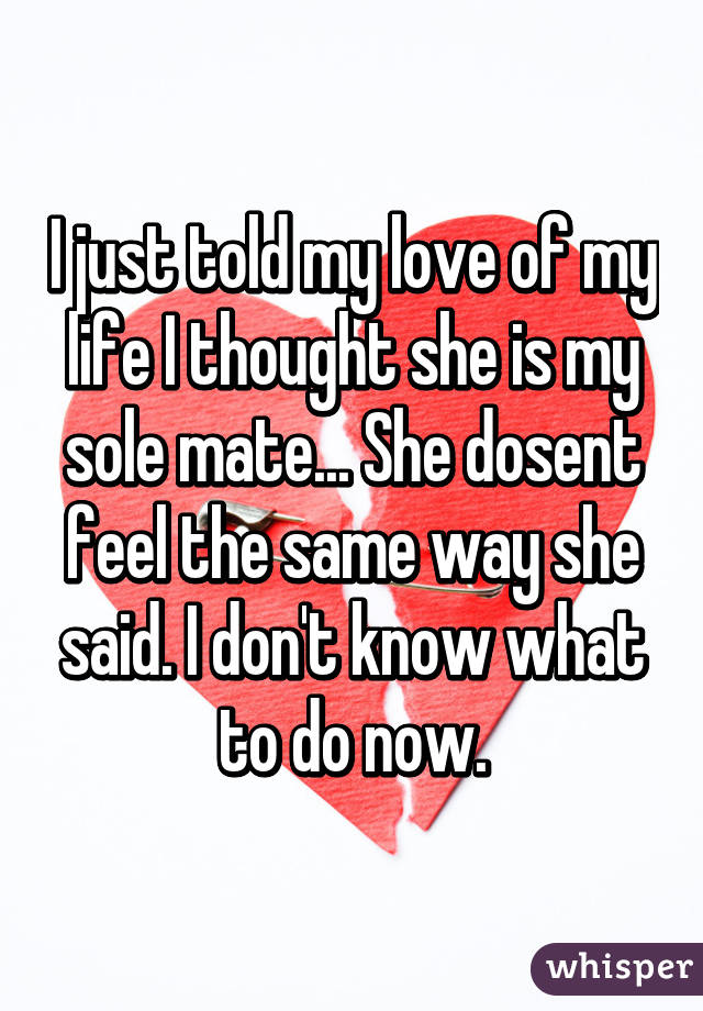 I just told my love of my life I thought she is my sole mate... She dosent feel the same way she said. I don't know what to do now.