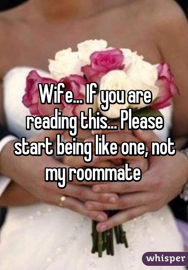 Wife... If you are reading this... Please start being like one, not my roommate 