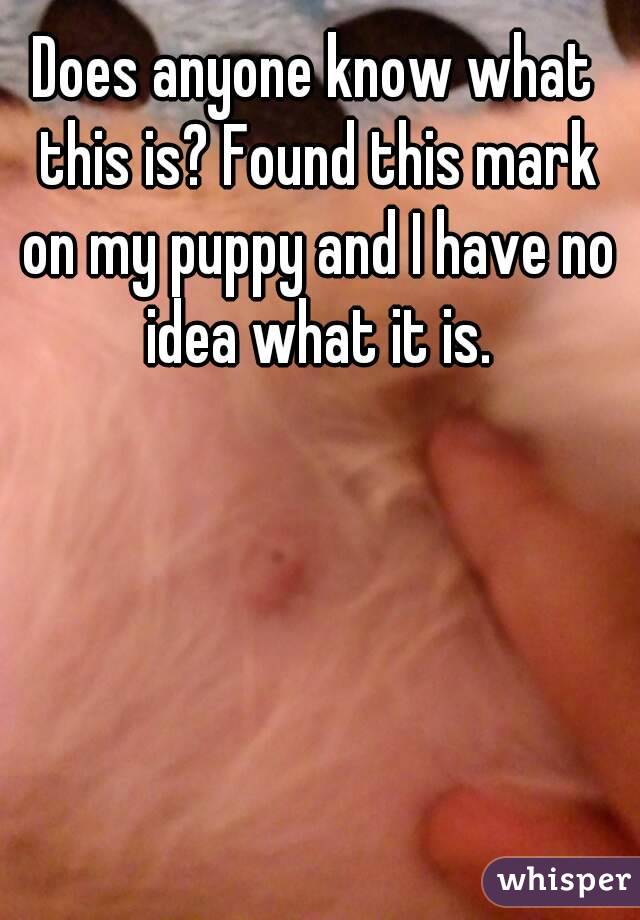 Does anyone know what this is? Found this mark on my puppy and I have no idea what it is.