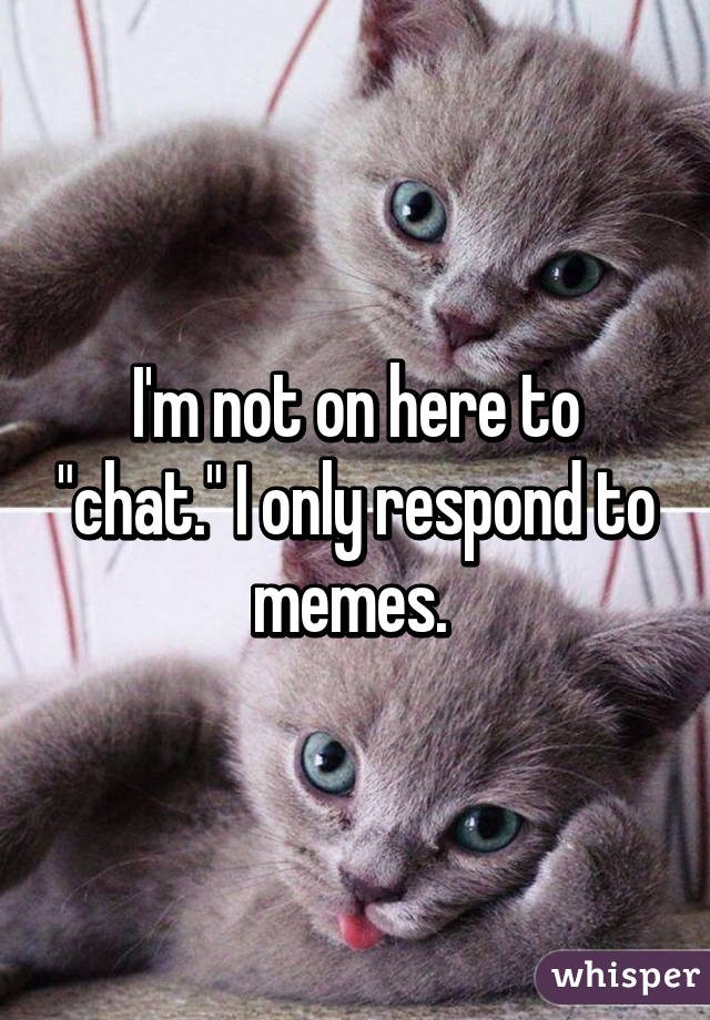 I'm not on here to "chat." I only respond to memes. 