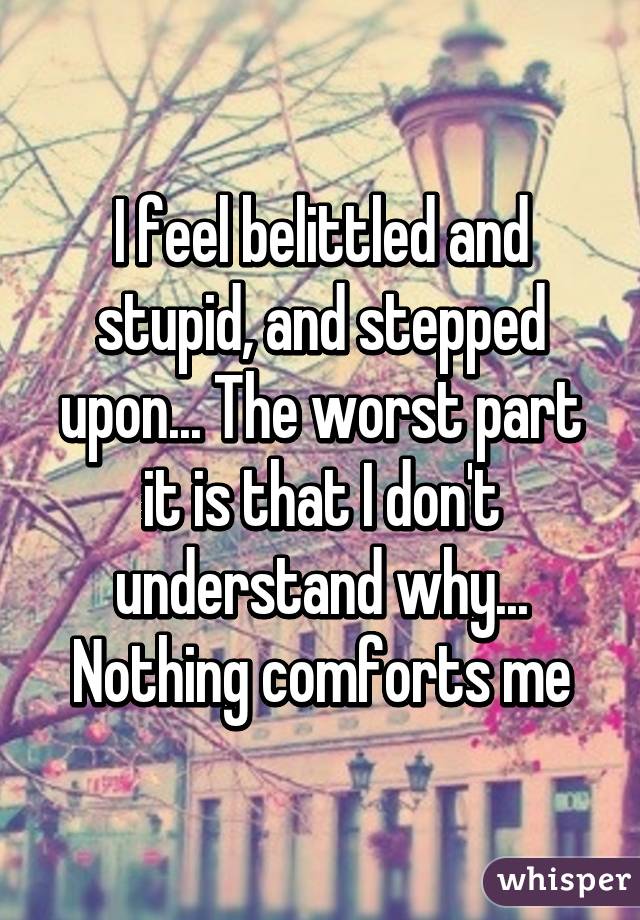 I feel belittled and stupid, and stepped upon... The worst part it is that I don't understand why... Nothing comforts me