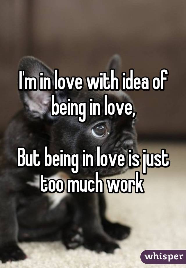 I'm in love with idea of being in love,

But being in love is just too much work 