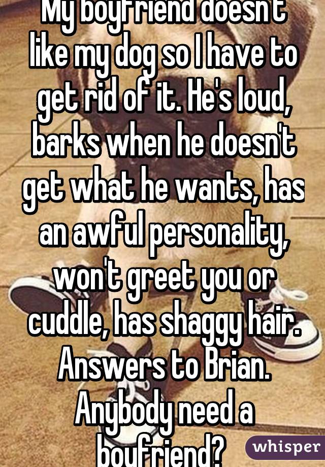 My boyfriend doesn't like my dog so I have to get rid of it. He's loud, barks when he doesn't get what he wants, has an awful personality, won't greet you or cuddle, has shaggy hair. Answers to Brian. Anybody need a boyfriend? 