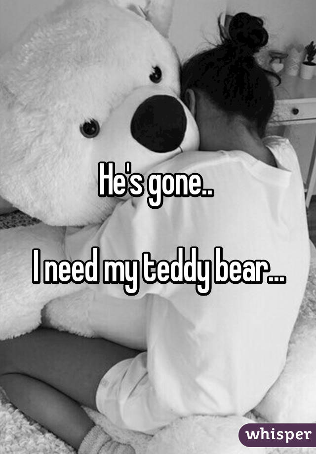 He's gone.. 

I need my teddy bear...