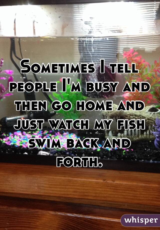 Sometimes I tell people I'm busy and then go home and just watch my fish swim back and forth. 