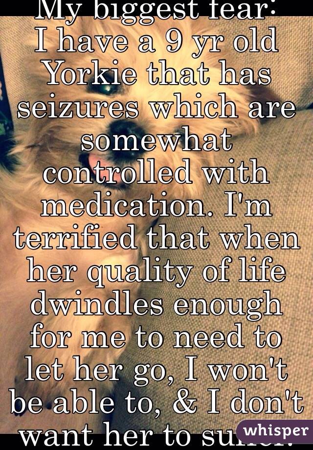 My biggest fear:
I have a 9 yr old Yorkie that has seizures which are somewhat controlled with medication. I'm terrified that when her quality of life dwindles enough for me to need to let her go, I won't be able to, & I don't want her to suffer.