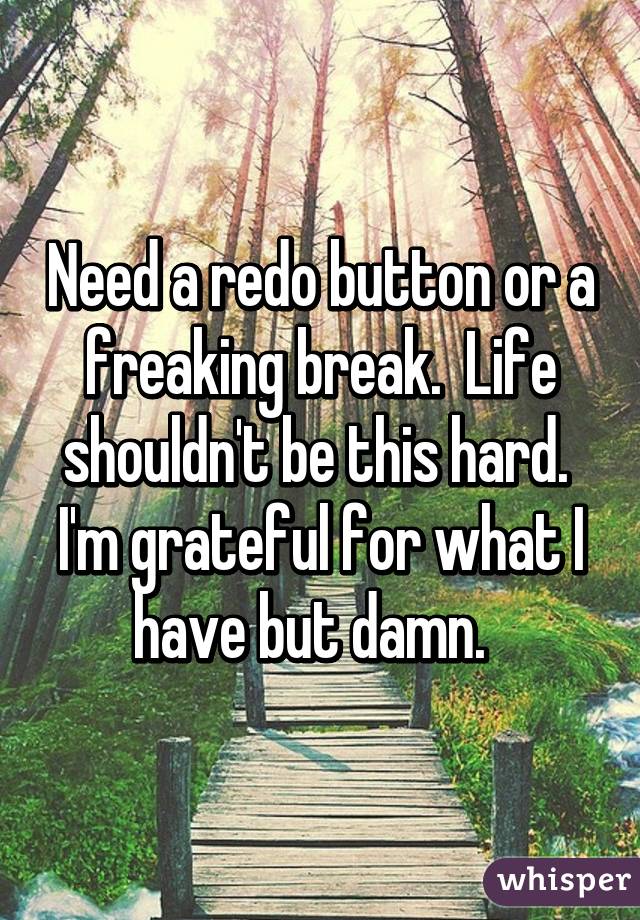 Need a redo button or a freaking break.  Life shouldn't be this hard.  I'm grateful for what I have but damn.  