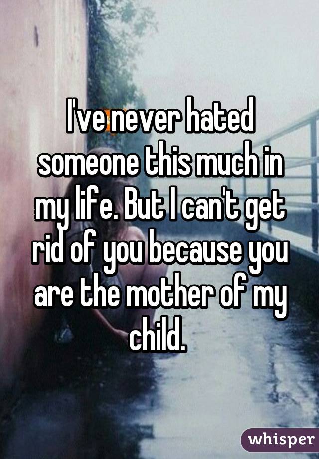 I've never hated someone this much in my life. But I can't get rid of you because you are the mother of my child. 