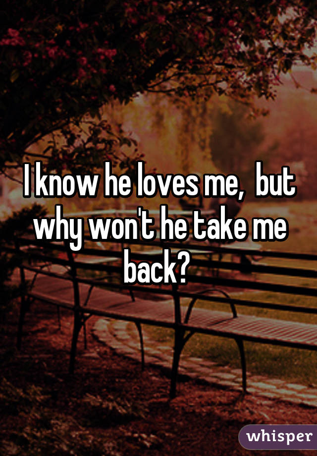 I know he loves me,  but why won't he take me back? 