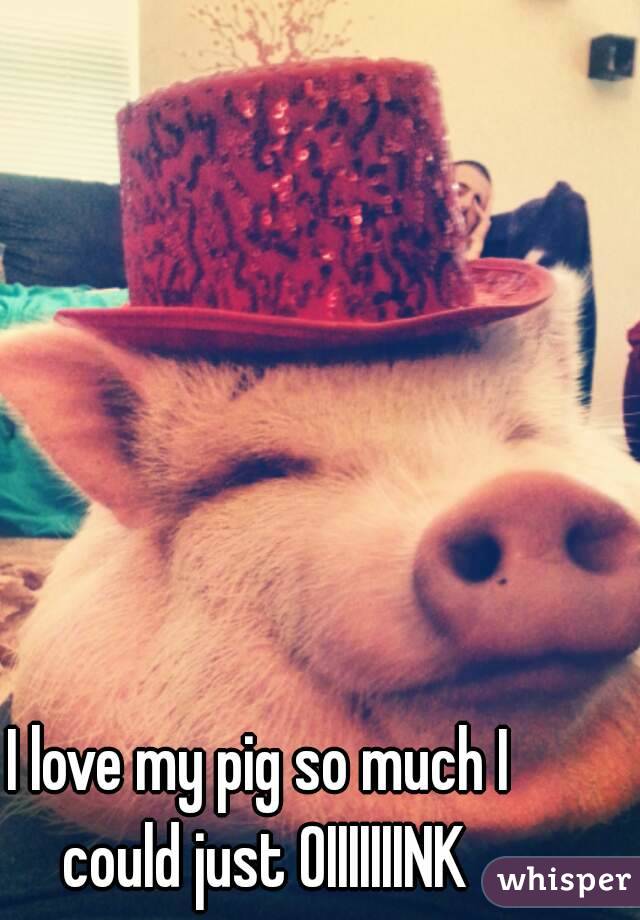 I love my pig so much I could just OIIIIIIINK