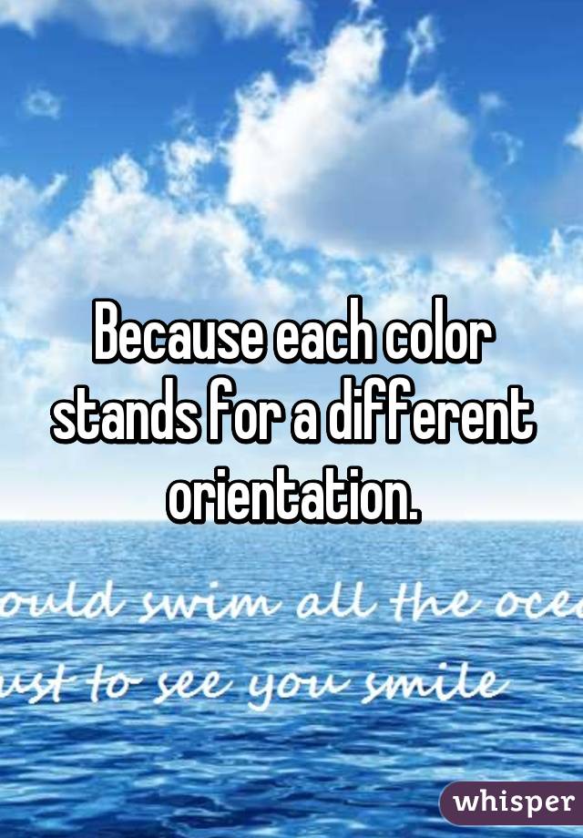 Because each color stands for a different orientation.