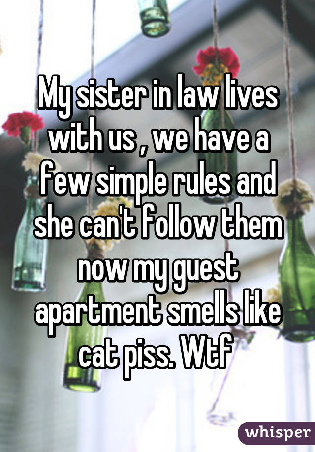 My sister in law lives with us , we have a few simple rules and she can't follow them now my guest apartment smells like cat piss. Wtf 