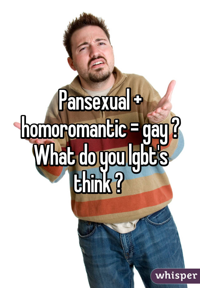 Pansexual + homoromantic = gay ? What do you lgbt's think ? 