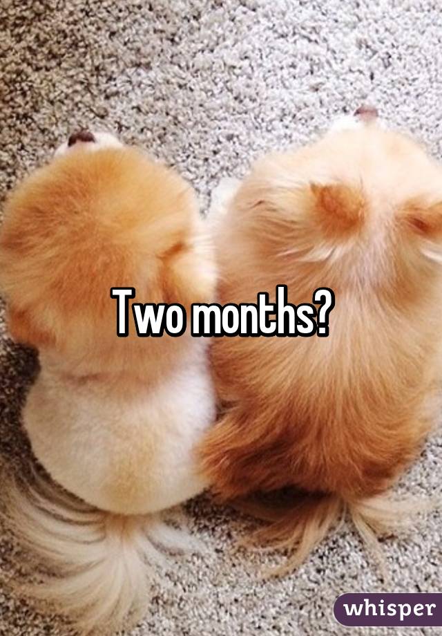 Two months?