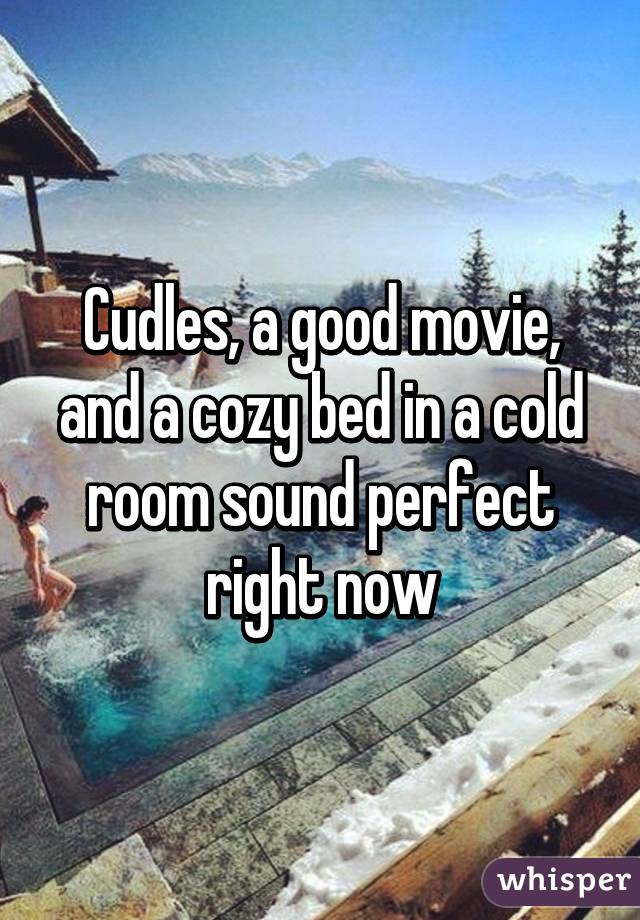 Cudles, a good movie, and a cozy bed in a cold room sound perfect right now