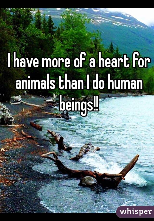 I have more of a heart for animals than I do human beings!! 