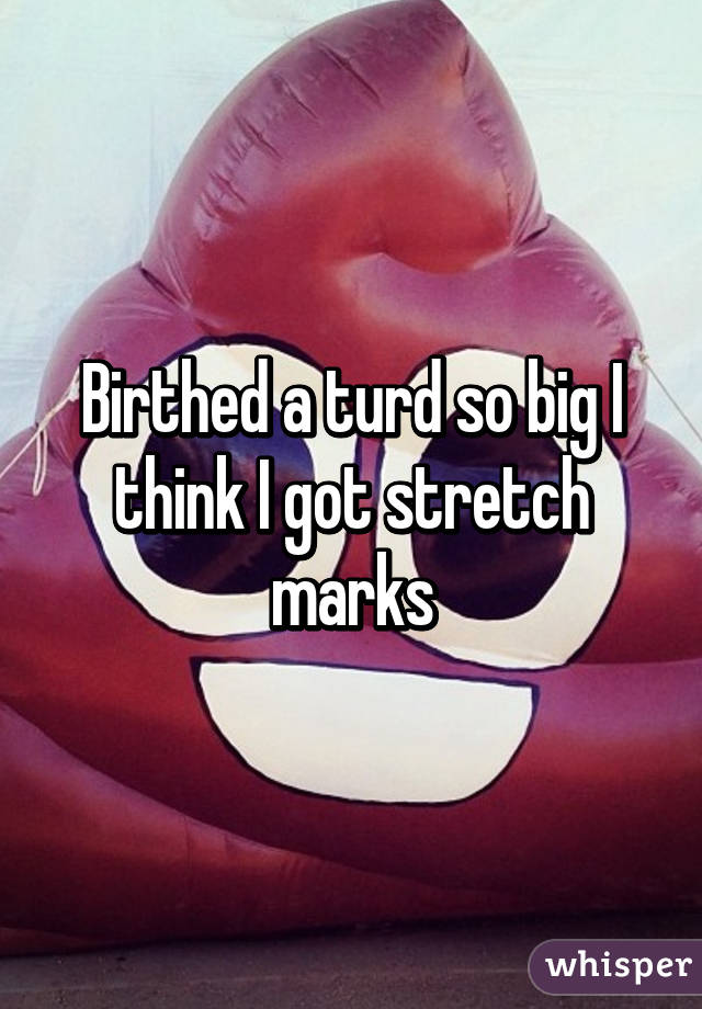 Birthed a turd so big I think I got stretch marks