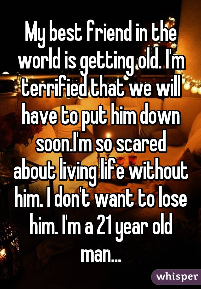 My best friend in the world is getting old. I'm terrified that we will have to put him down soon.I'm so scared about living life without him. I don't want to lose him. I'm a 21 year old man...