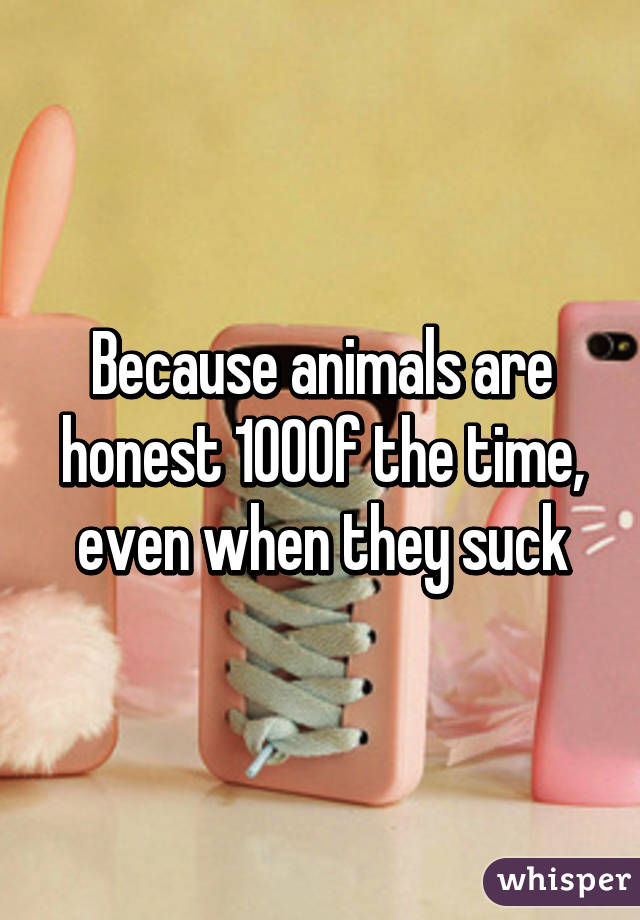 Because animals are honest 100% of the time, even when they suck