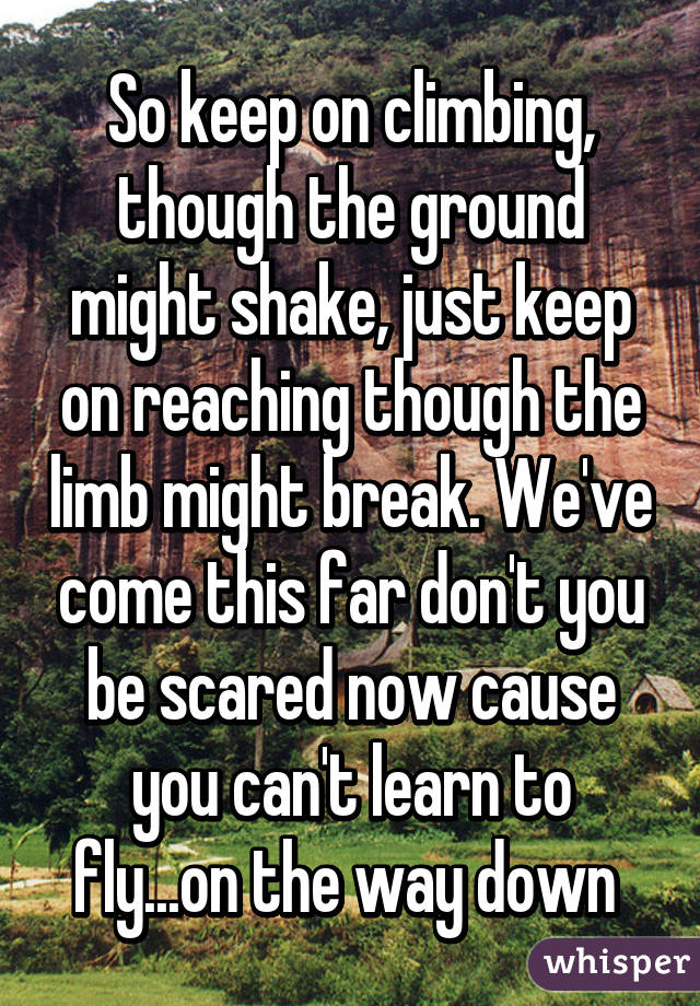 So keep on climbing, though the ground might shake, just keep on reaching though the limb might break. We've come this far don't you be scared now cause you can't learn to fly...on the way down 