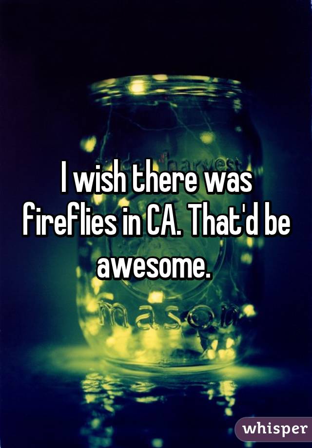 I wish there was fireflies in CA. That'd be awesome. 