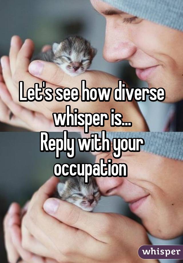 Let's see how diverse whisper is...
Reply with your occupation 