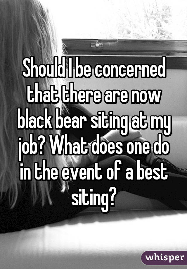 Should I be concerned that there are now black bear siting at my job? What does one do in the event of a best siting?