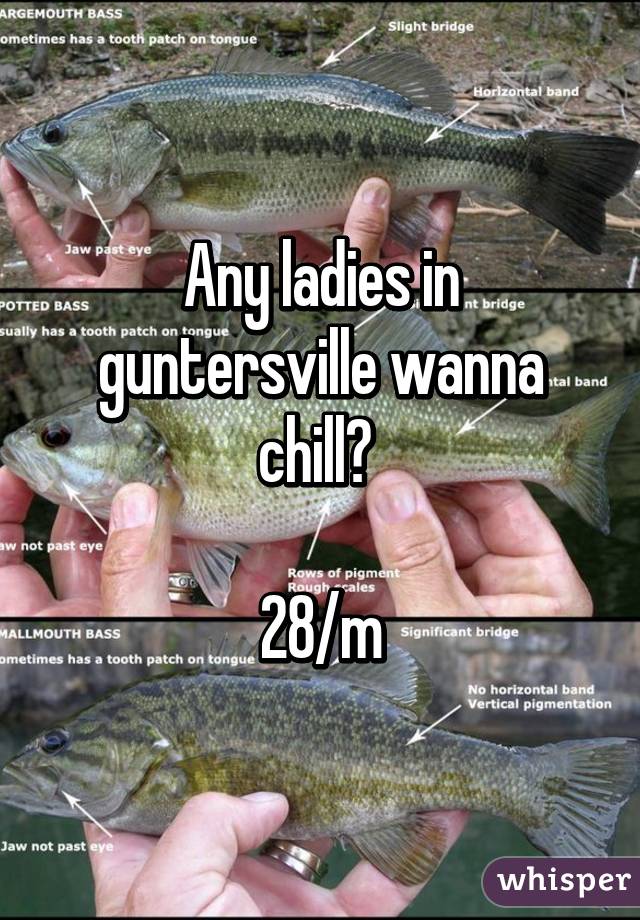 Any ladies in guntersville wanna chill? 

28/m