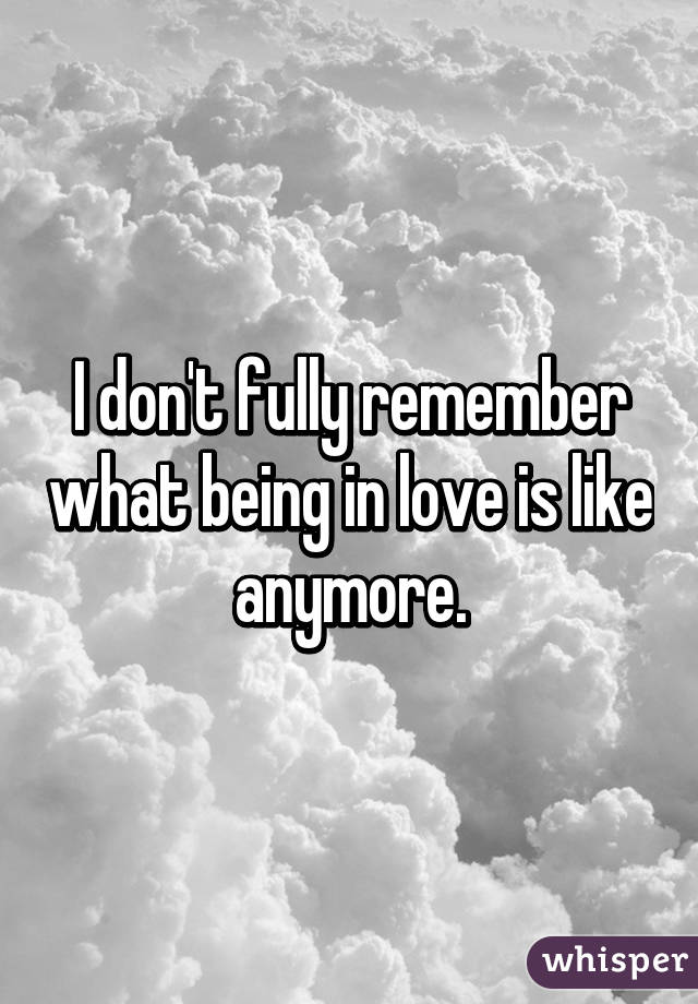 I don't fully remember what being in love is like anymore.