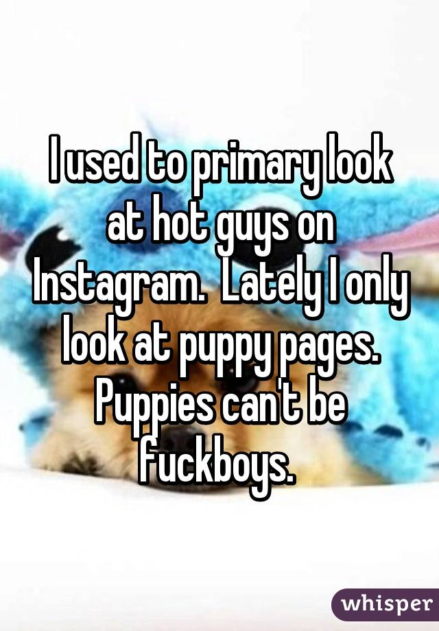 I used to primary look at hot guys on Instagram.  Lately I only look at puppy pages. Puppies can't be fuckboys. 