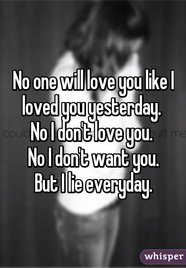 No one will love you like I loved you yesterday. 
No I don't love you. 
No I don't want you.
But I lie everyday.