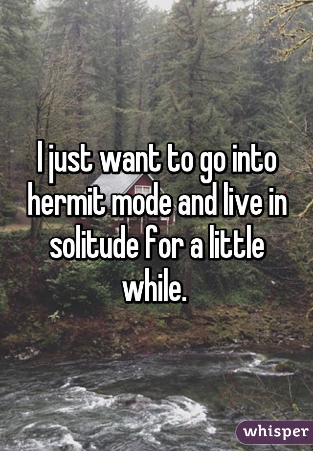 I just want to go into hermit mode and live in solitude for a little while. 