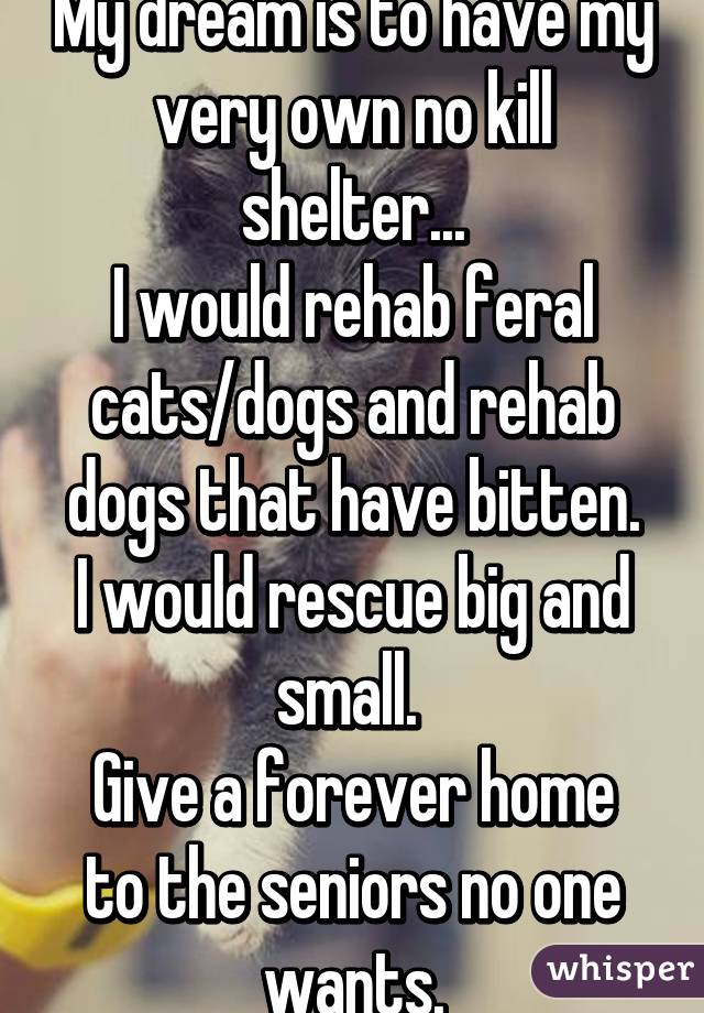 My dream is to have my very own no kill shelter...
I would rehab feral cats/dogs and rehab dogs that have bitten.
I would rescue big and small. 
Give a forever home to the seniors no one wants.