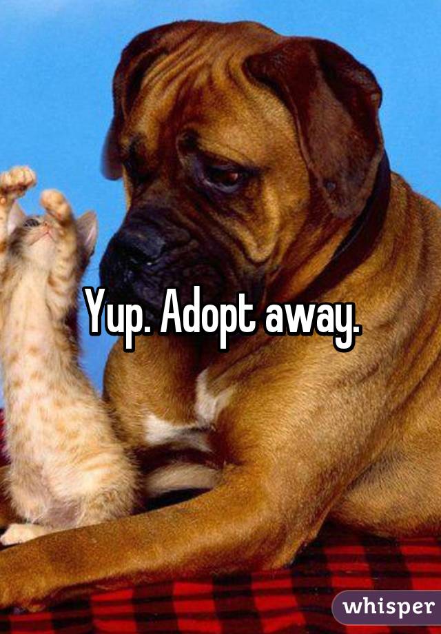 Yup. Adopt away.