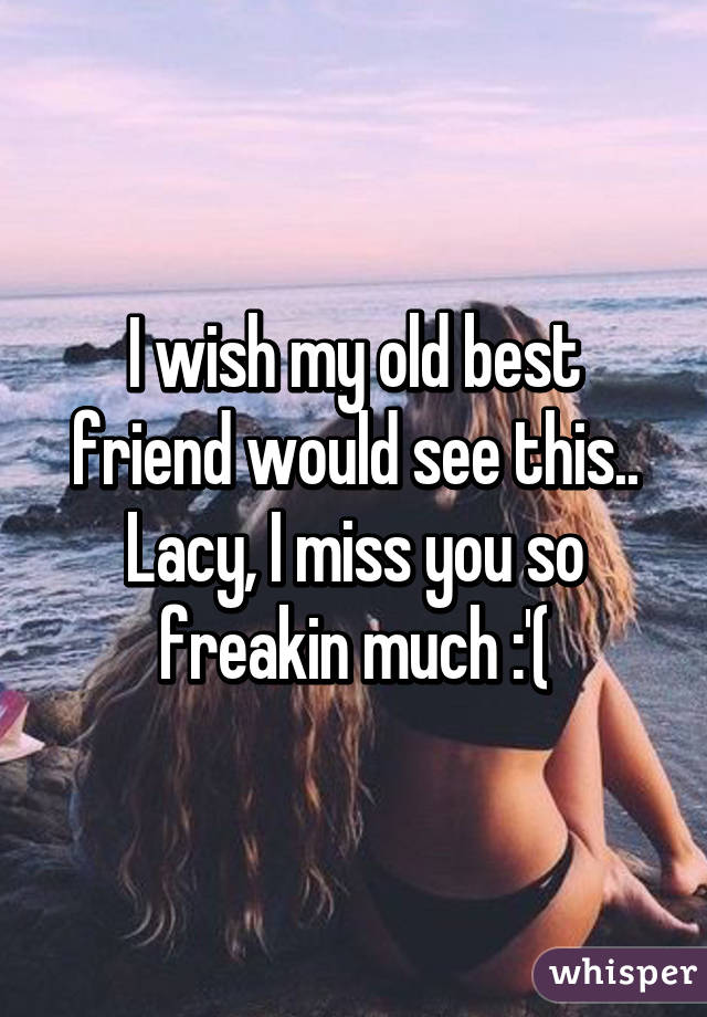 I wish my old best friend would see this..
Lacy, I miss you so freakin much :'(